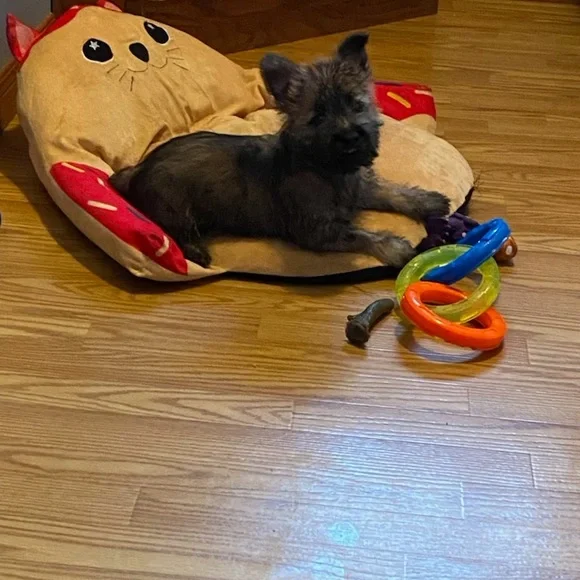 Meet your Posher, Elizabeth - Picture 14 of 16